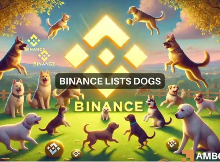 How BNB, DOGS fared as Binance Launchpool lists the memecoin