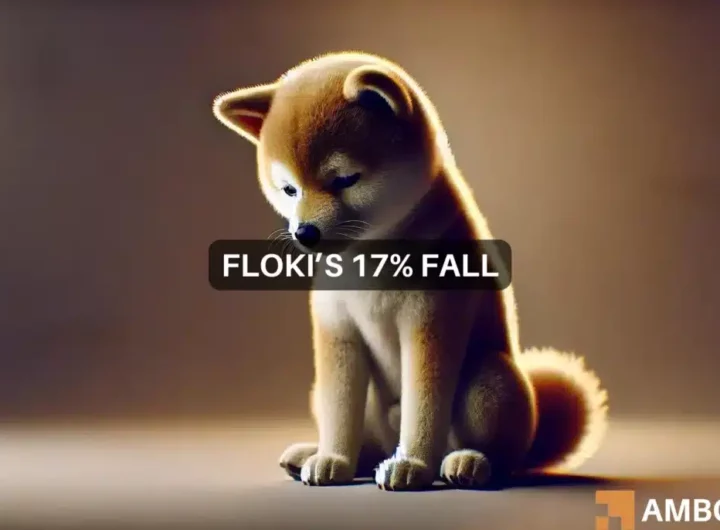 FLOKI slumps 17% as team wallet dumps M: What happens now?