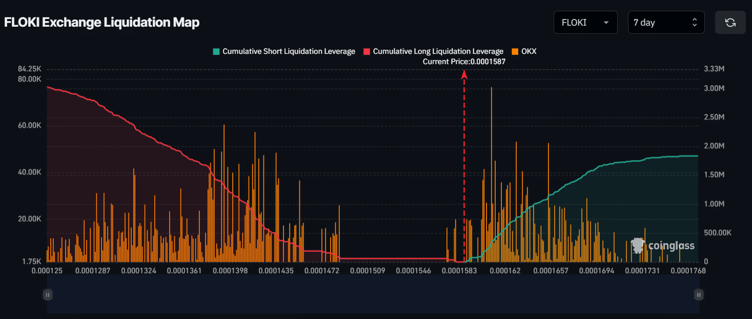 Floki liquidation level