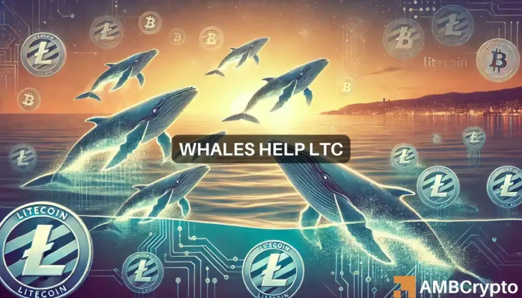 Whales help Litecoin surge 10.32% – Will LTC rally another 40%?