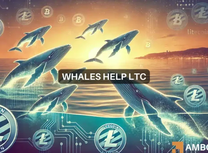 Whales help Litecoin surge 10.32% – Will LTC rally another 40%?