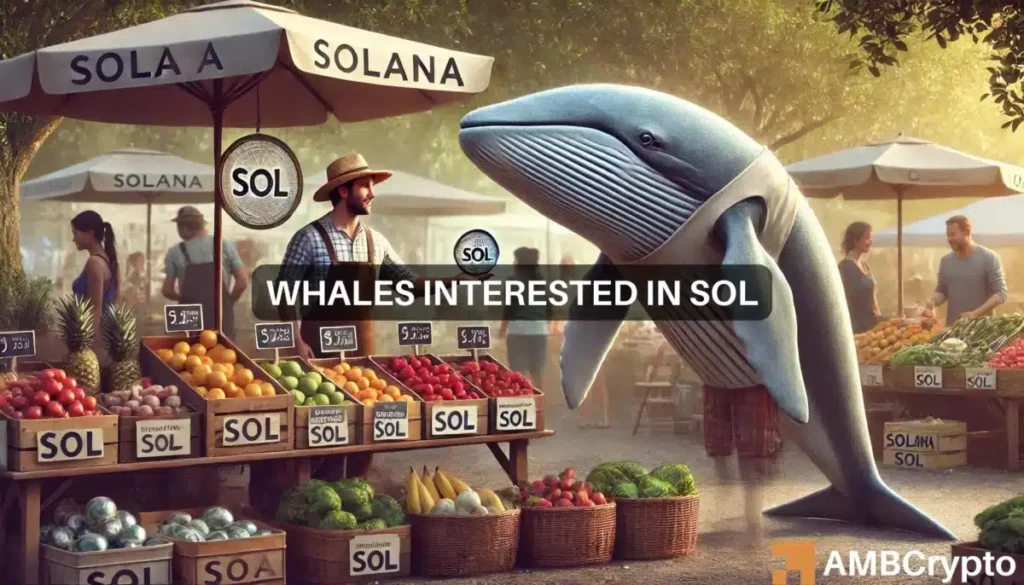 2 Solana whales move 8M tokens: Will SOL break out?