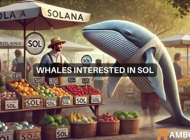 2 Solana whales move 8M tokens: Will SOL break out?