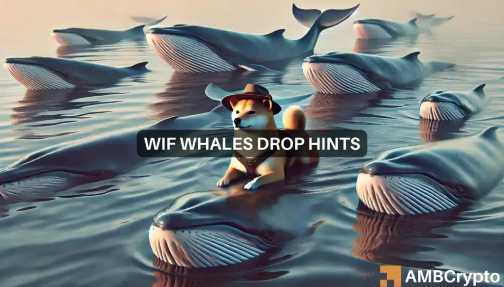 dogwifhat: Is now the time to buy? WIF whales drop major hints