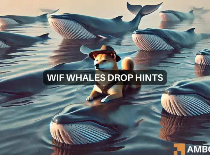 dogwifhat: Is now the time to buy? WIF whales drop major hints