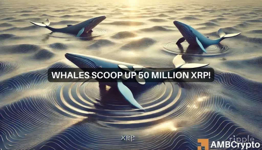 XRP whales scoop up 50 mln tokens amid price drop – Bull run incoming?