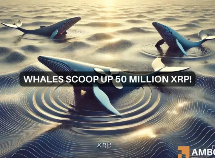 XRP whales scoop up 50 mln tokens amid price drop – Bull run incoming?