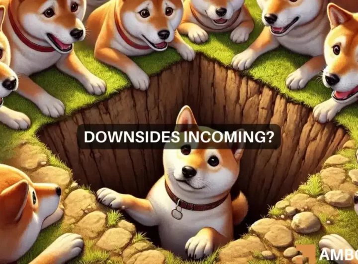 Shiba Inu price prediction – SHIB to reverse its 2024 gains now?