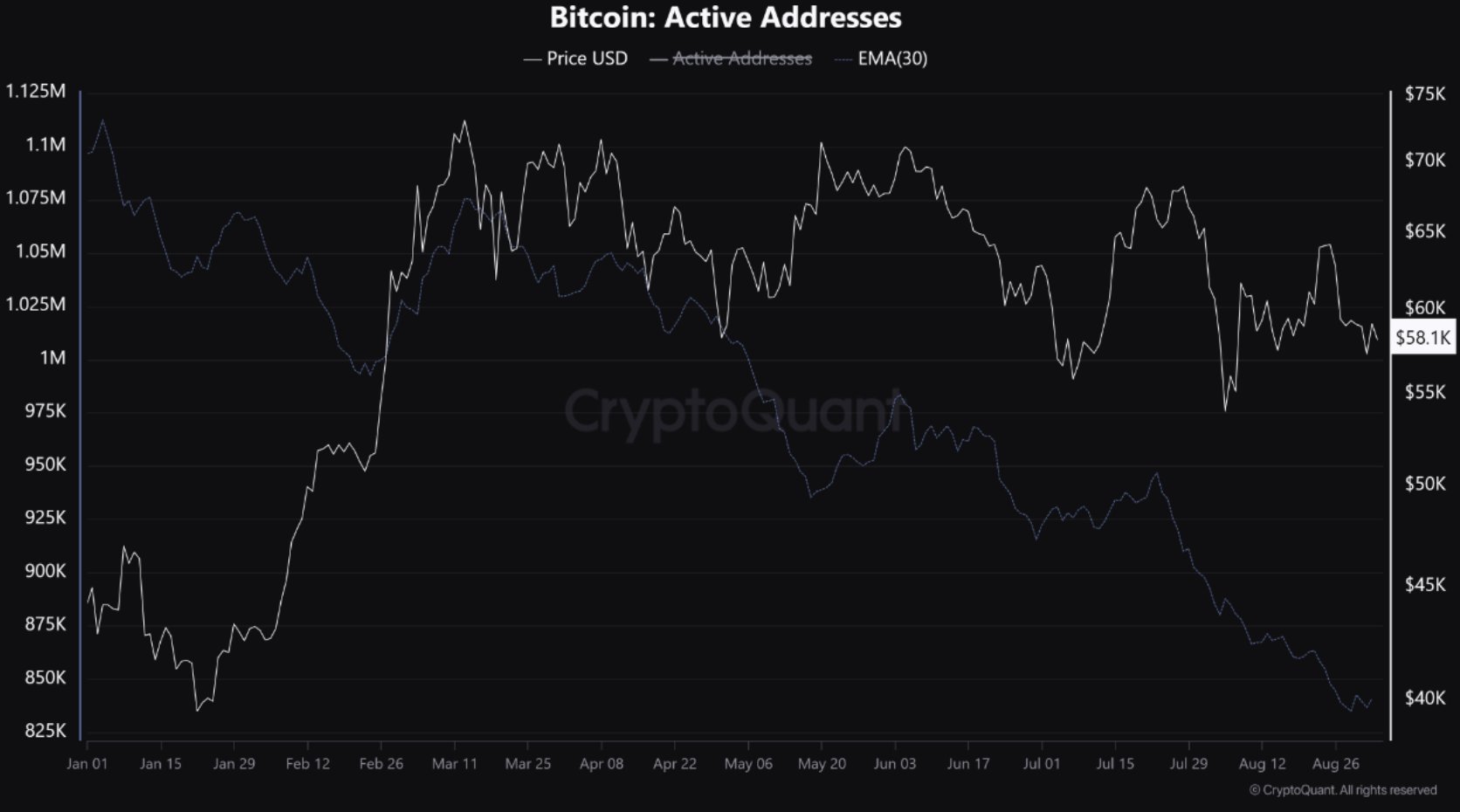 Bitcoin 2019