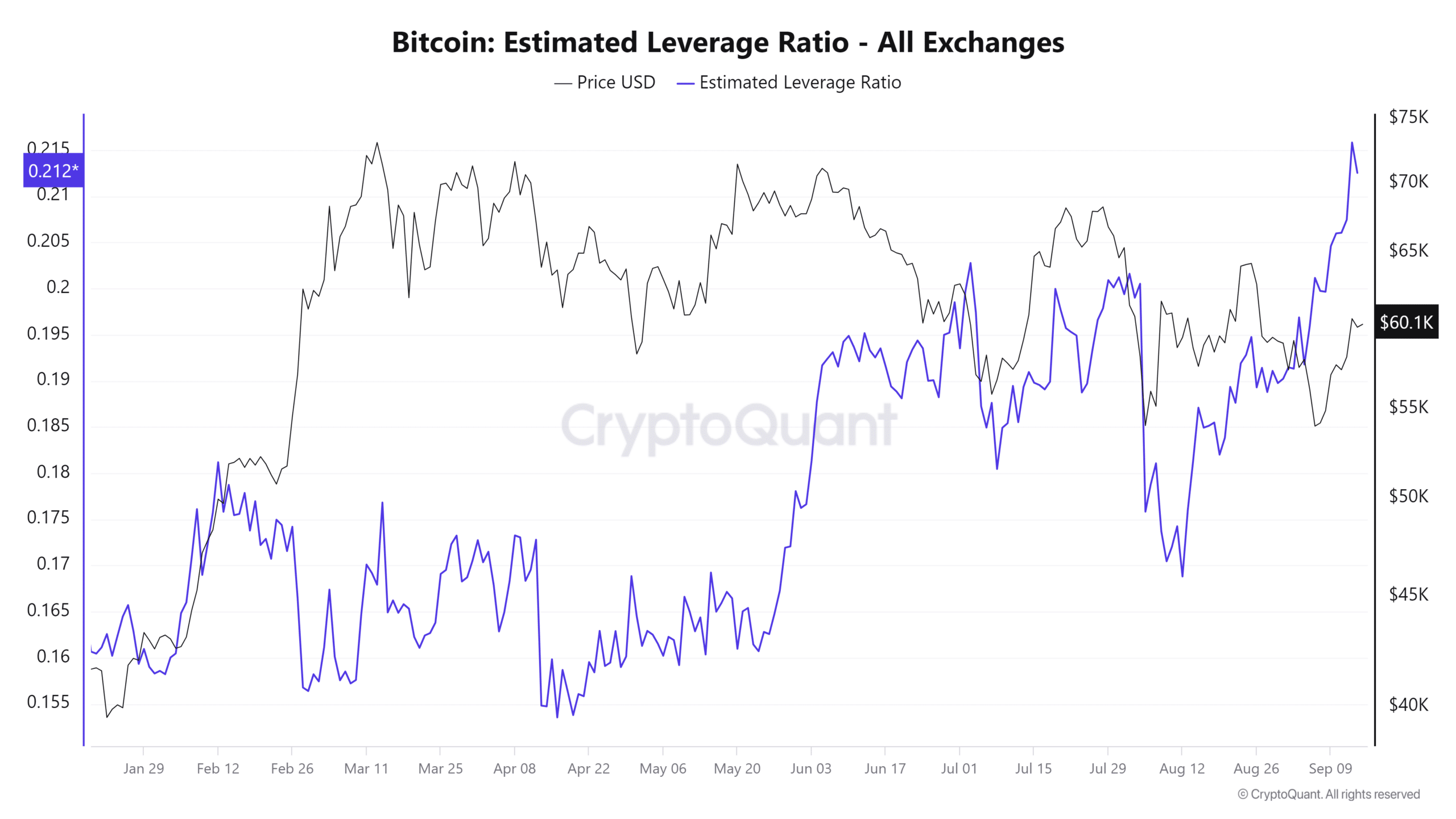 Bitcoin leverage ratio