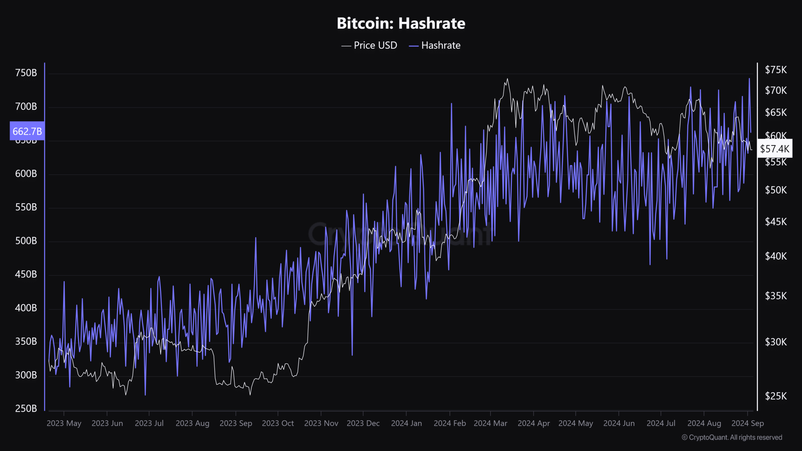 Bitcoin network hashrate