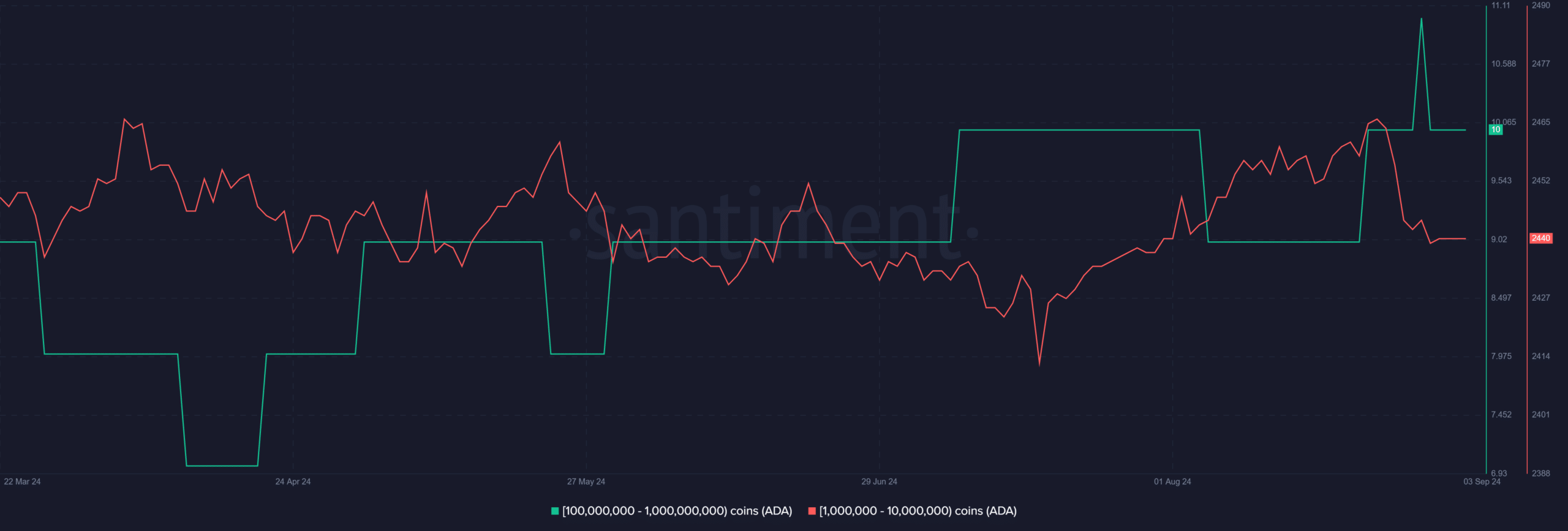 Cardano crypto whales