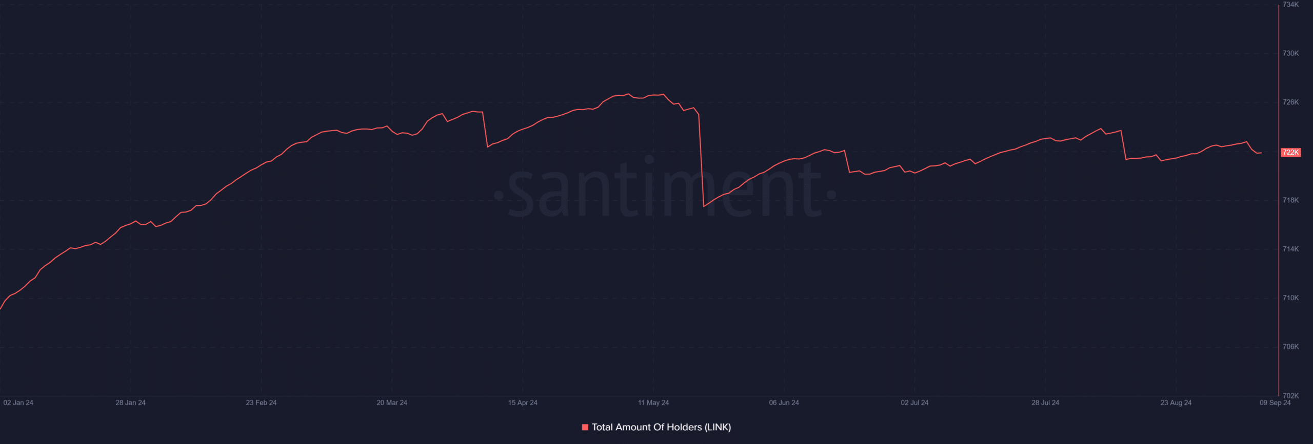 Chainlink total amount of holders