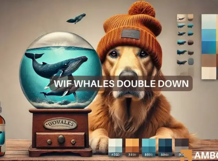 dogwifhat whale accumulates  mln tokens – What’s behind this move?