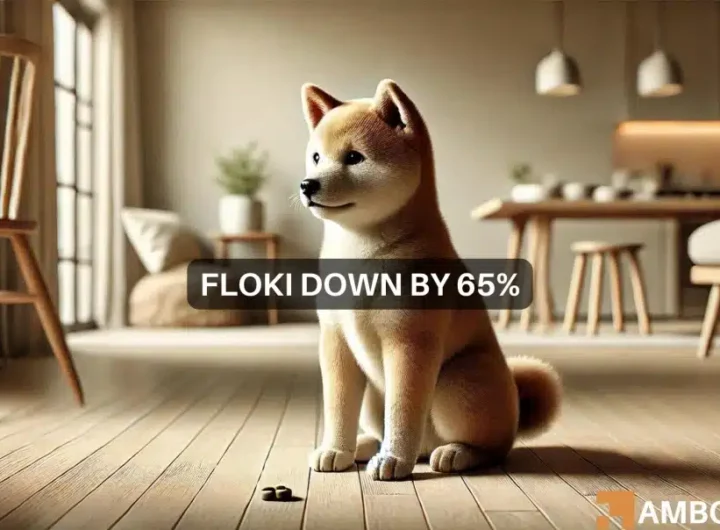 Can FLOKI turn things around after a 65% drop from its ATH?