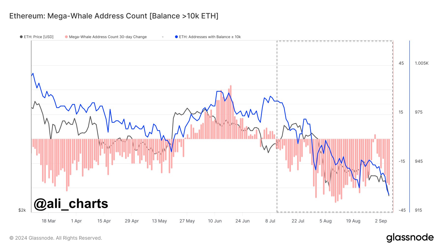 Whales and institutions activity