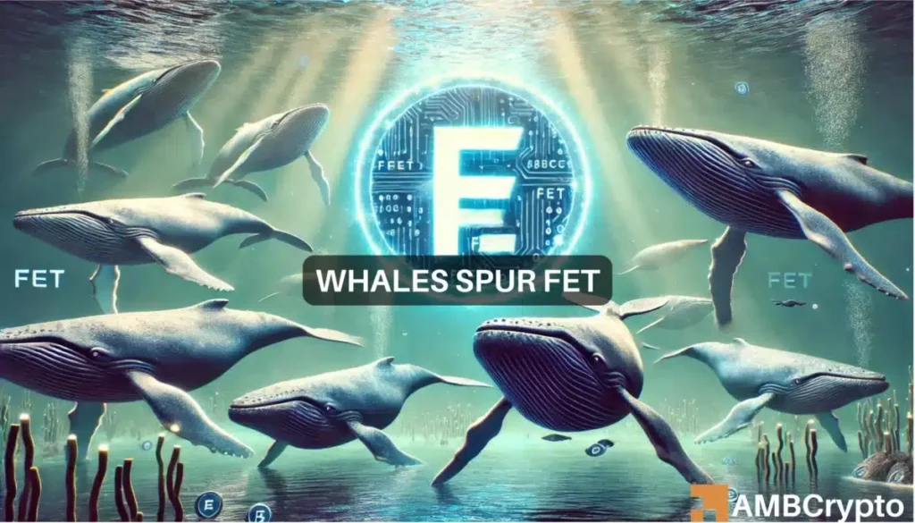 FET whales take charge: Large transactions spike 262%