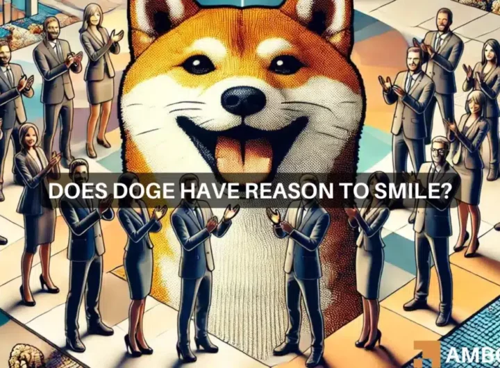 Dogecoin’s next rally – DOGE whales will have their say and that means…