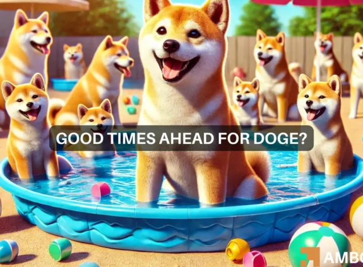 Dogecoin’s latest ‘hike’ – Identifying the odds of a real price rally next