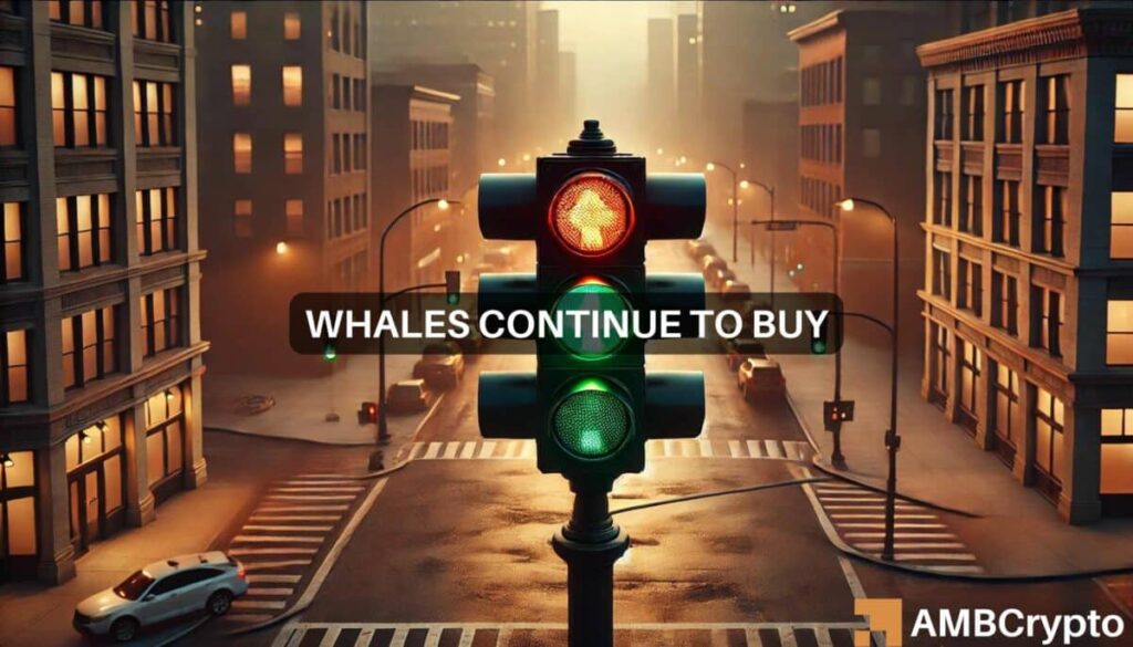 Bitcoin whale buys M BTC as prices crash – Is a reversal incoming?