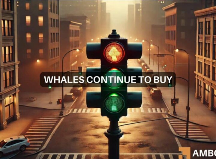 Bitcoin whale buys M BTC as prices crash – Is a reversal incoming?