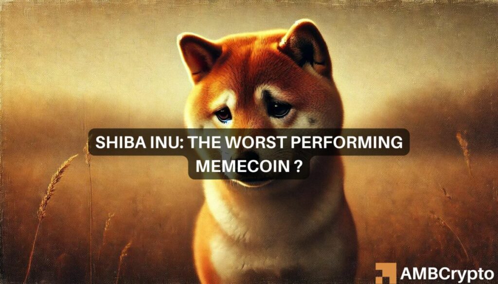 Analyzing Shiba Inu’s downward spiral in 2024 – Time to sell?