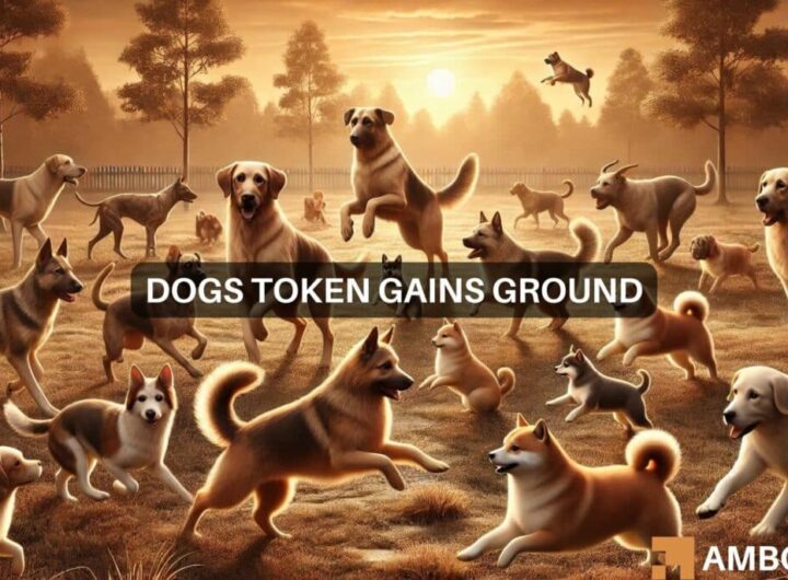 DOGS token’s rapid ascent: What the holder count tells us