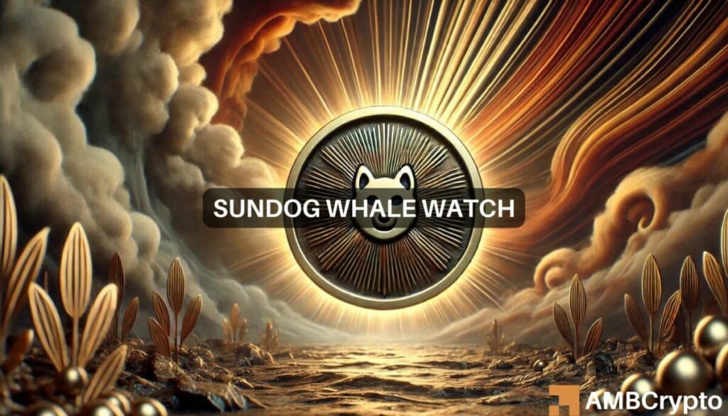 SUNDOG sees big players bet .5M: What’s Next?