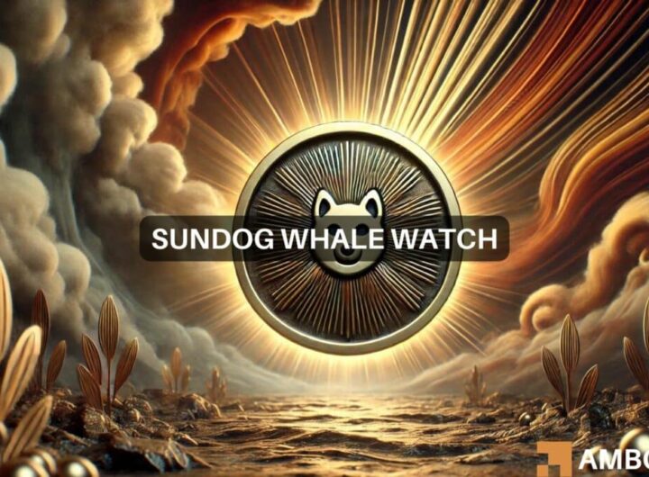 SUNDOG sees big players bet .5M: What’s Next?