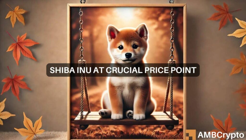 Exploring Shiba Inu’s 300% surge potential as traders go long