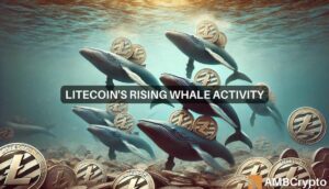 Litecoin: Can whale activity and network fundamentals propel LTC to ?