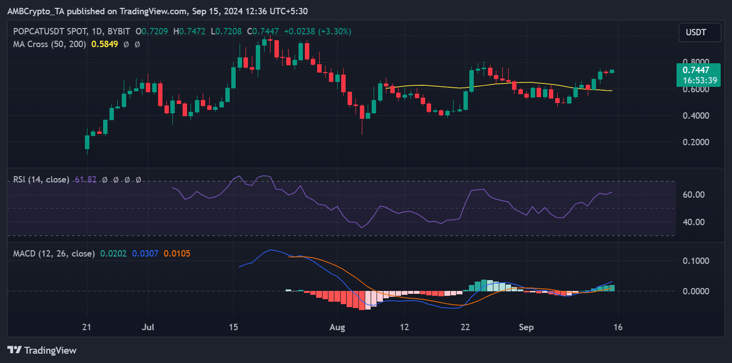 Popcat, crypto biggest winner, price trend