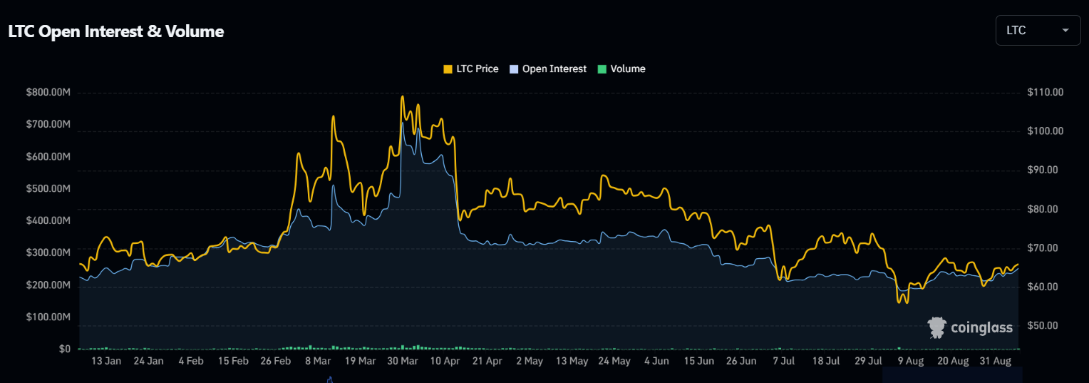 LTC open interest