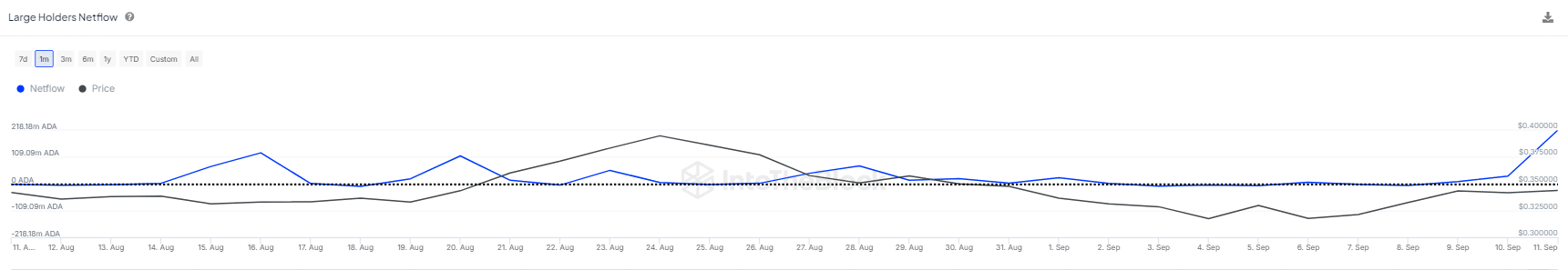 Cardano whale activity