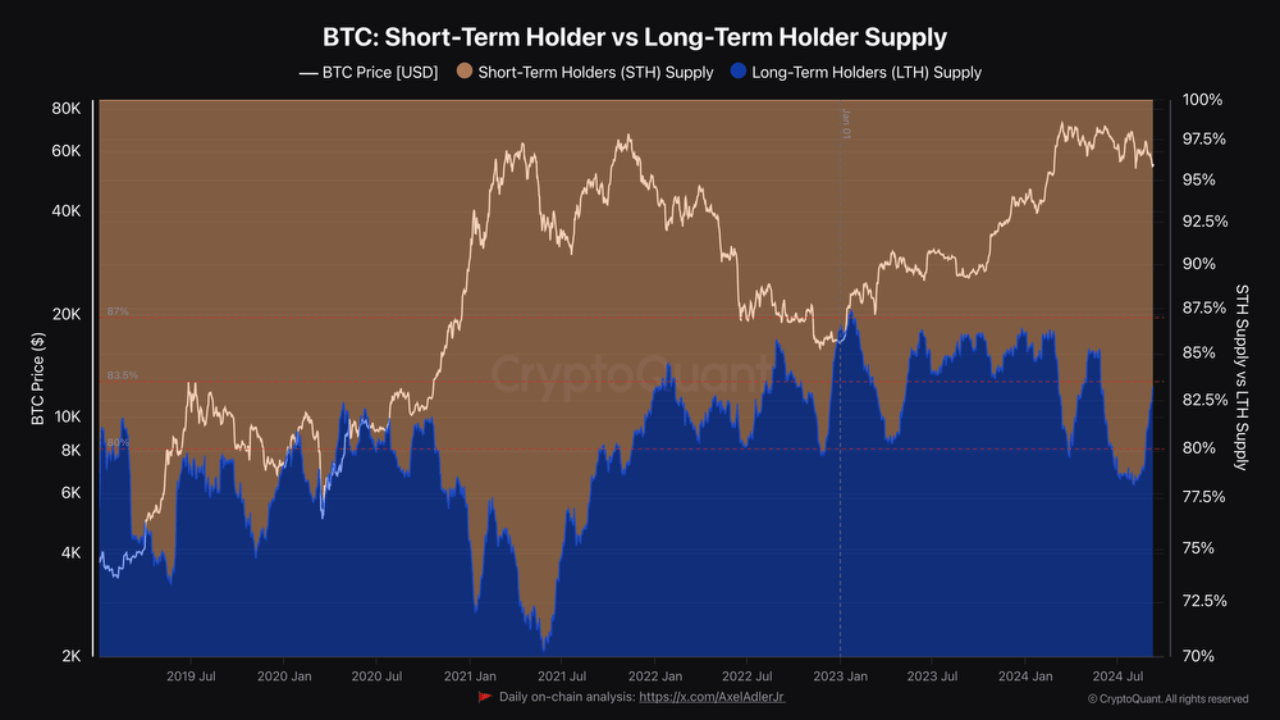 Bitcoin holders metric. 