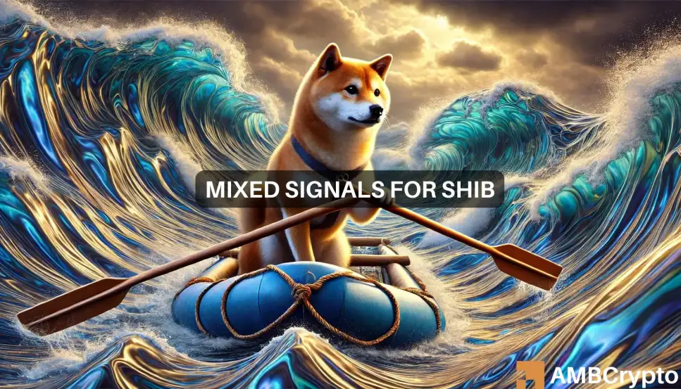 Shiba Inu price prediction – Assessing the possibility of SHIB hitting new local low