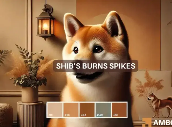 Shiba Inu burns rise, but this is why SHIB remains below crucial levels