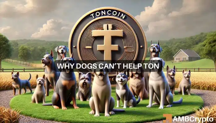 DOGS airdrop helps Toncoin activity, yet TON’s price drops – Why?