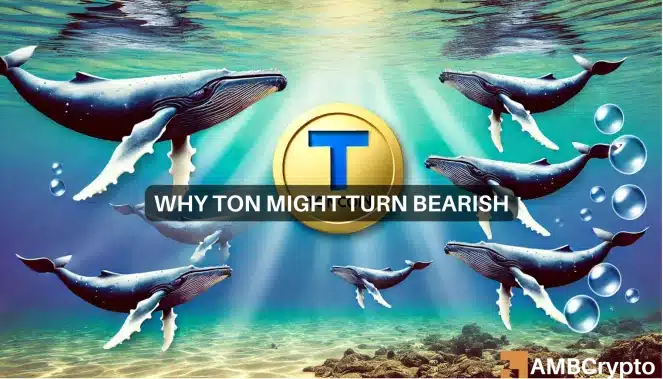 Toncoin’s next move – How whales can and cannot keep TON bullish