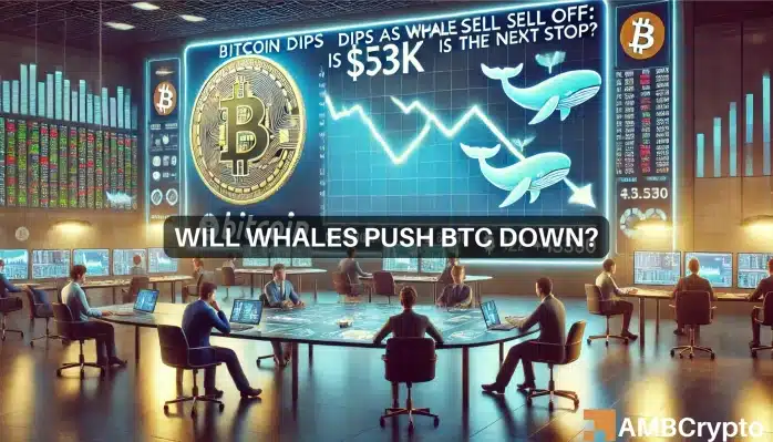 Bitcoin dips as whales exit: Is K the next stop?