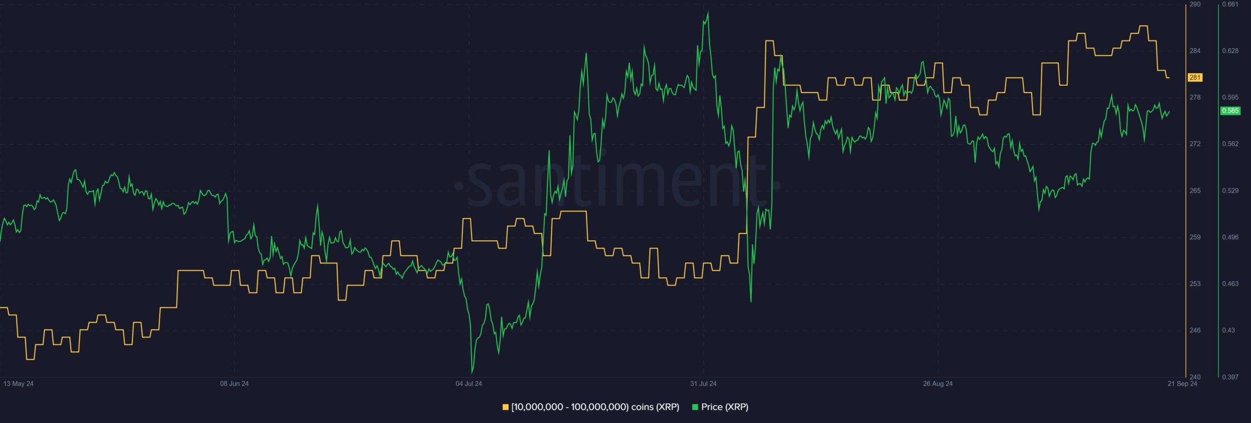 Ripple whales