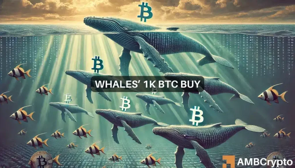 Bitcoin whales continue to impact BTC amidst 1K token move