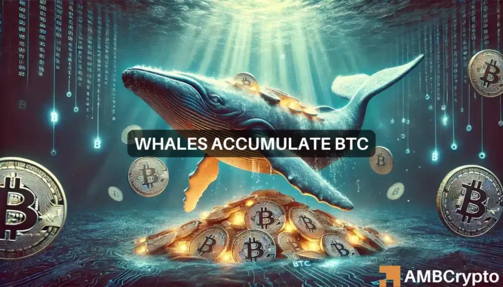 Bitcoin whales gather 7.3 mln BTC in market dip: Bullish signs?