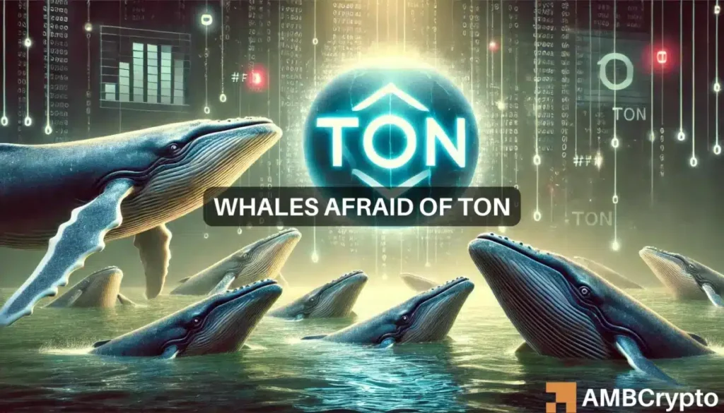 Toncoin gains 6.62% after Pavel Durov’s statement, but THIS raises fresh concerns