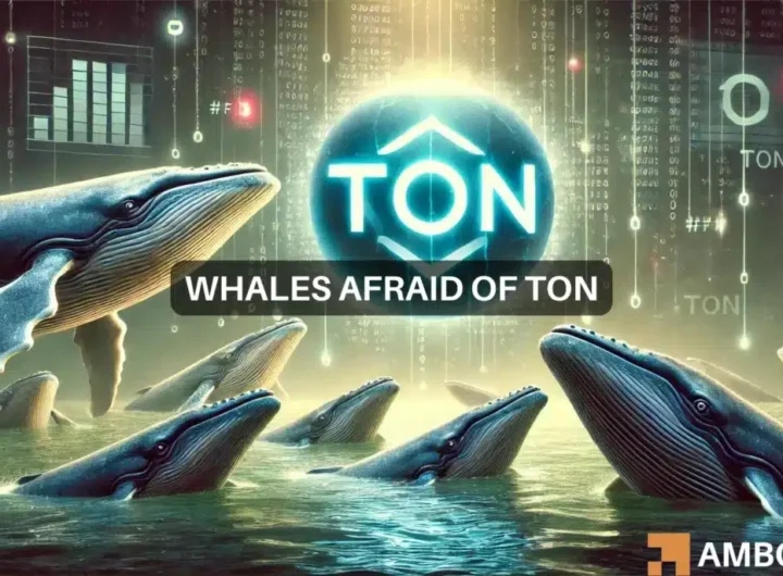 Toncoin gains 6.62% after Pavel Durov’s statement, but THIS raises fresh concerns