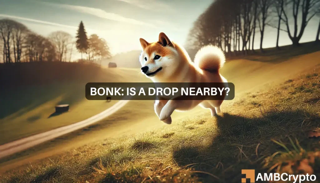 BONK update: Rebound or retreat? Key indicators show mixed outlook