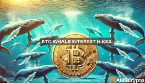 Bitcoin whales surge to 2021 levels – Will this lead BTC to a new ATH? 