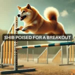 Shiba Inu aims for 40% rally as BTC nears ATH: On-chain data suggests…