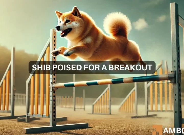 Shiba Inu aims for 40% rally as BTC nears ATH: On-chain data suggests…