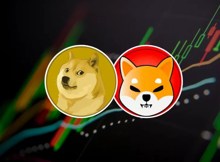 Shiba Inu And Dogecoin Price Notch Over 10% Gains In 24 Hours, What’s Driving It?